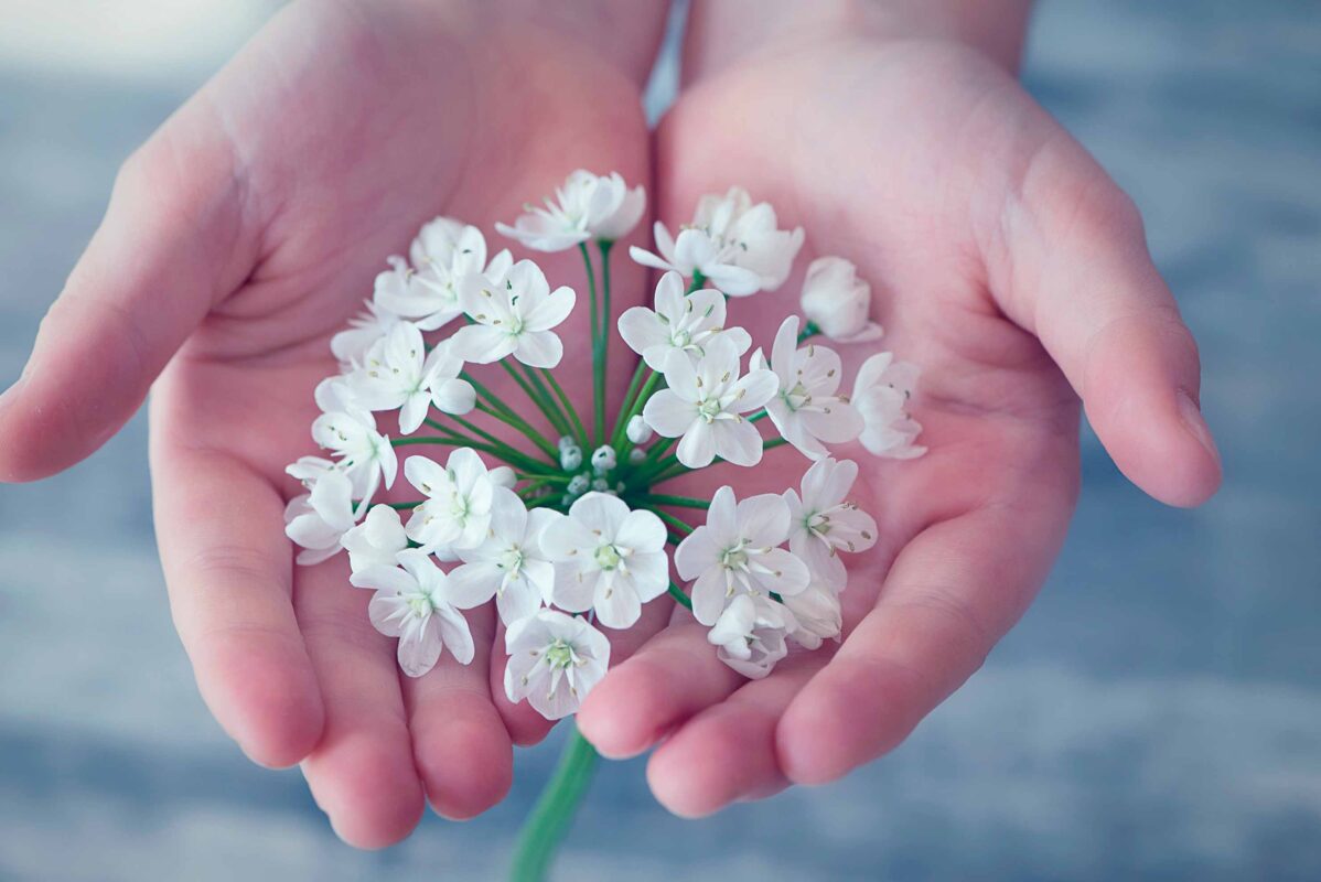 los límites de la posesión, tener o ser