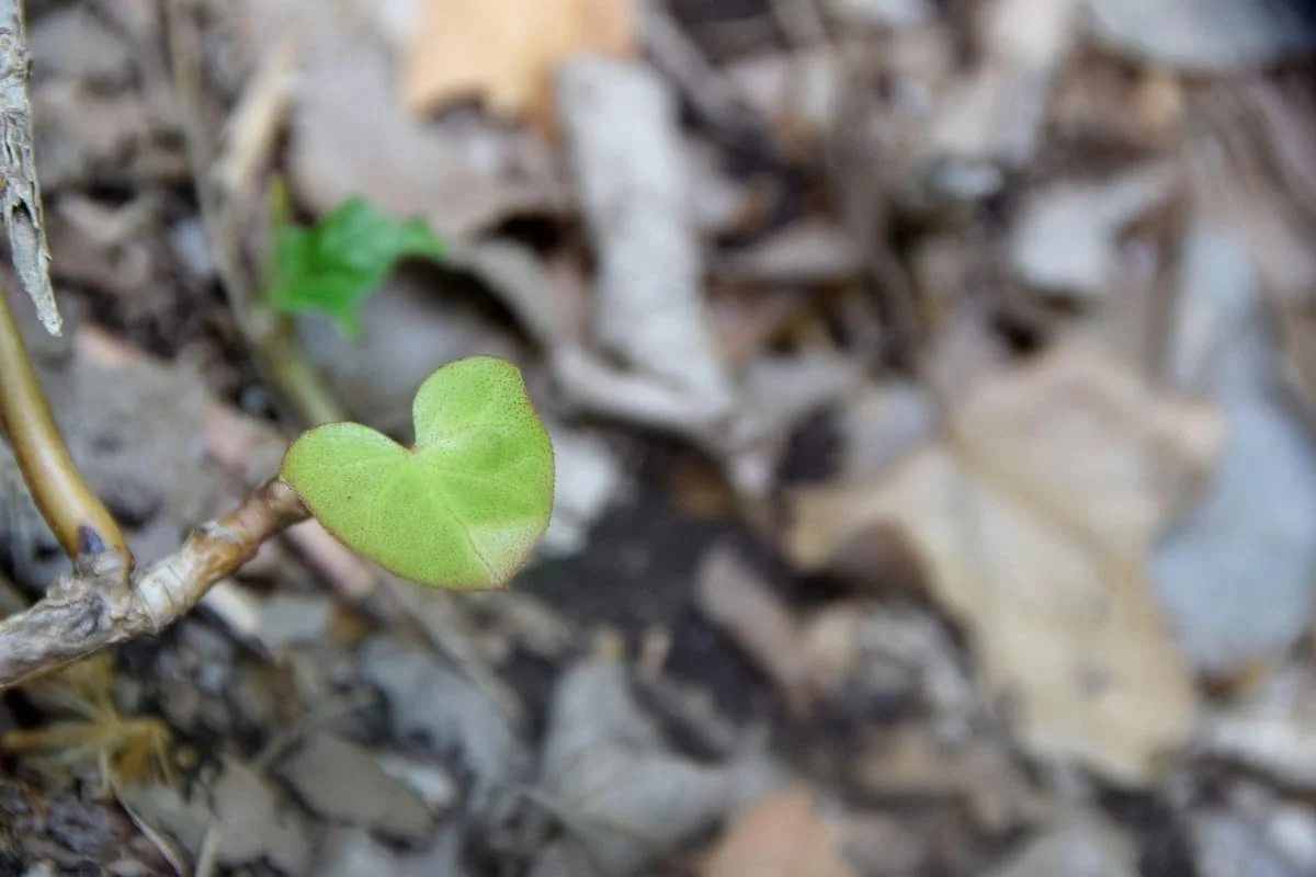 Por qué sigo sintiendo algo aunque ya no me haga bien