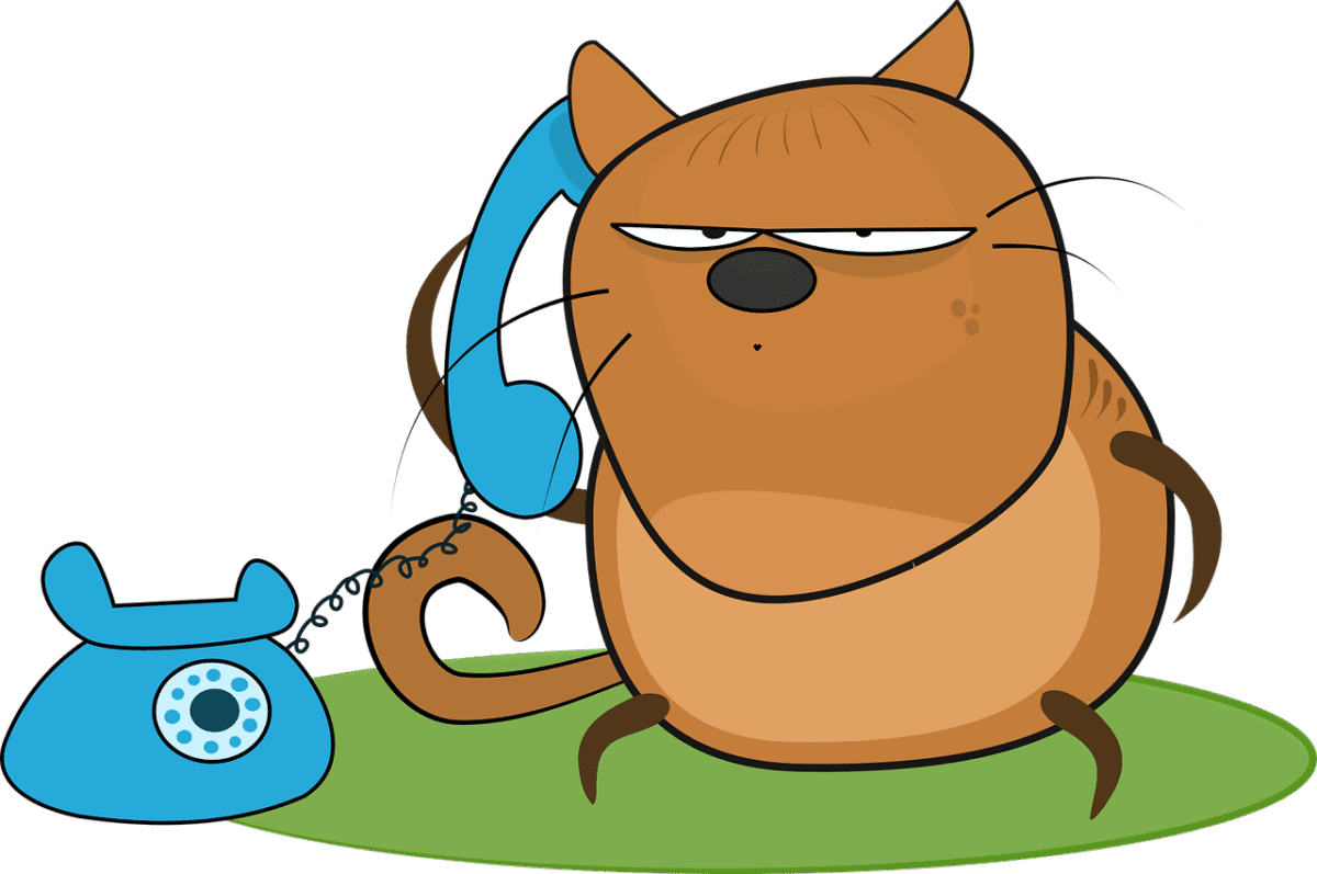Gato con expresión de pesadez mirando un teléfono móvil en relación con la búsqueda por qué mis padres no me hablan bien