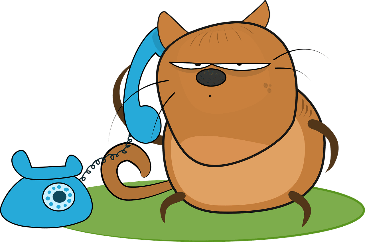 Gato con expresión de pesadez mirando un teléfono móvil en relación con la búsqueda por qué mis padres no me hablan bien