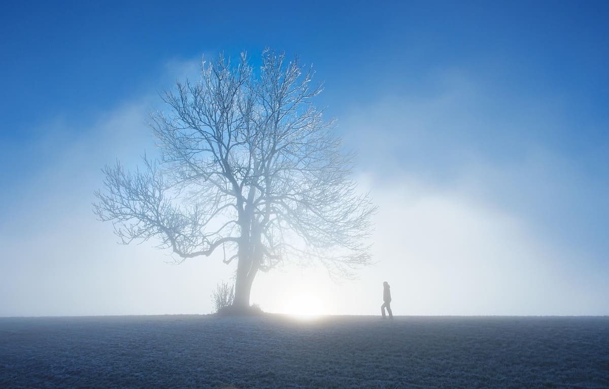 Qué hacer cuando mi pareja no quiere hablarme: persona caminando sola ante un árbol
